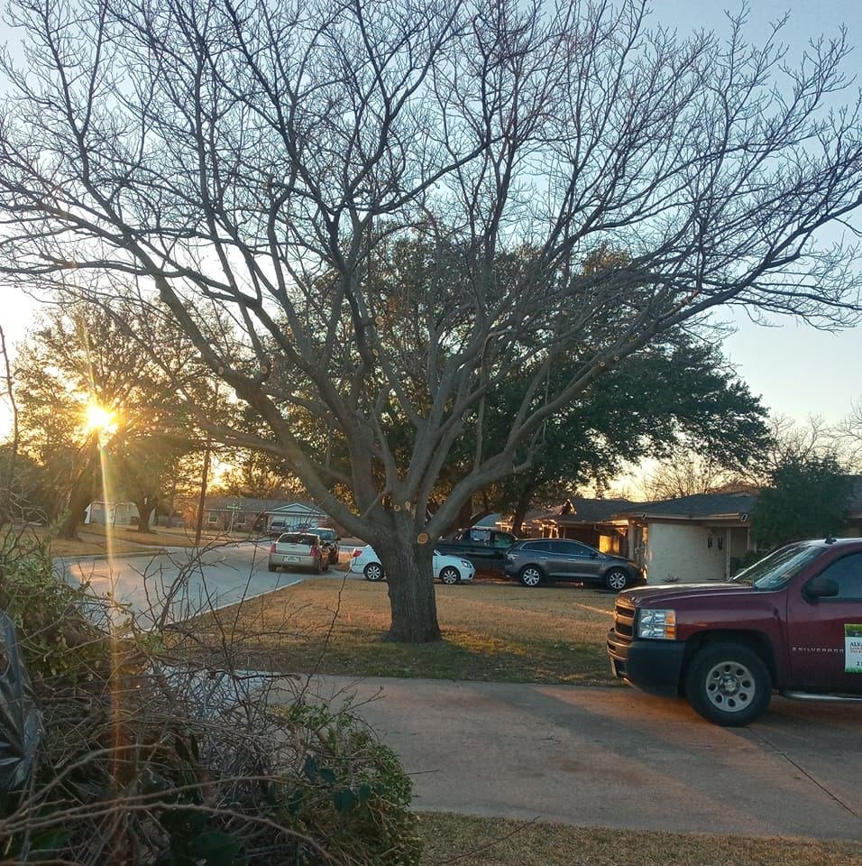 274705522_109226468364213_4883621545130459905_n