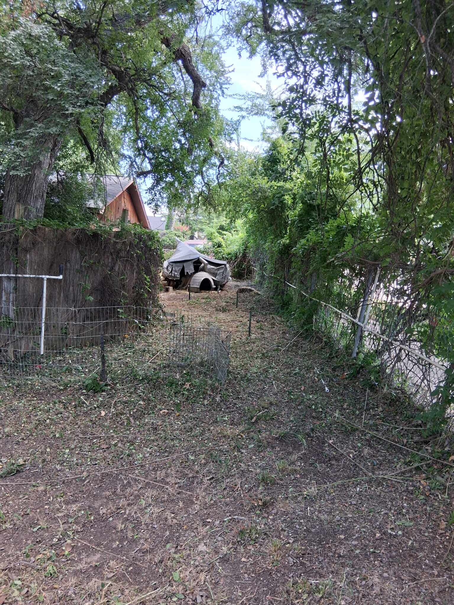 552434443_756121210772035_2282364620883747284_n