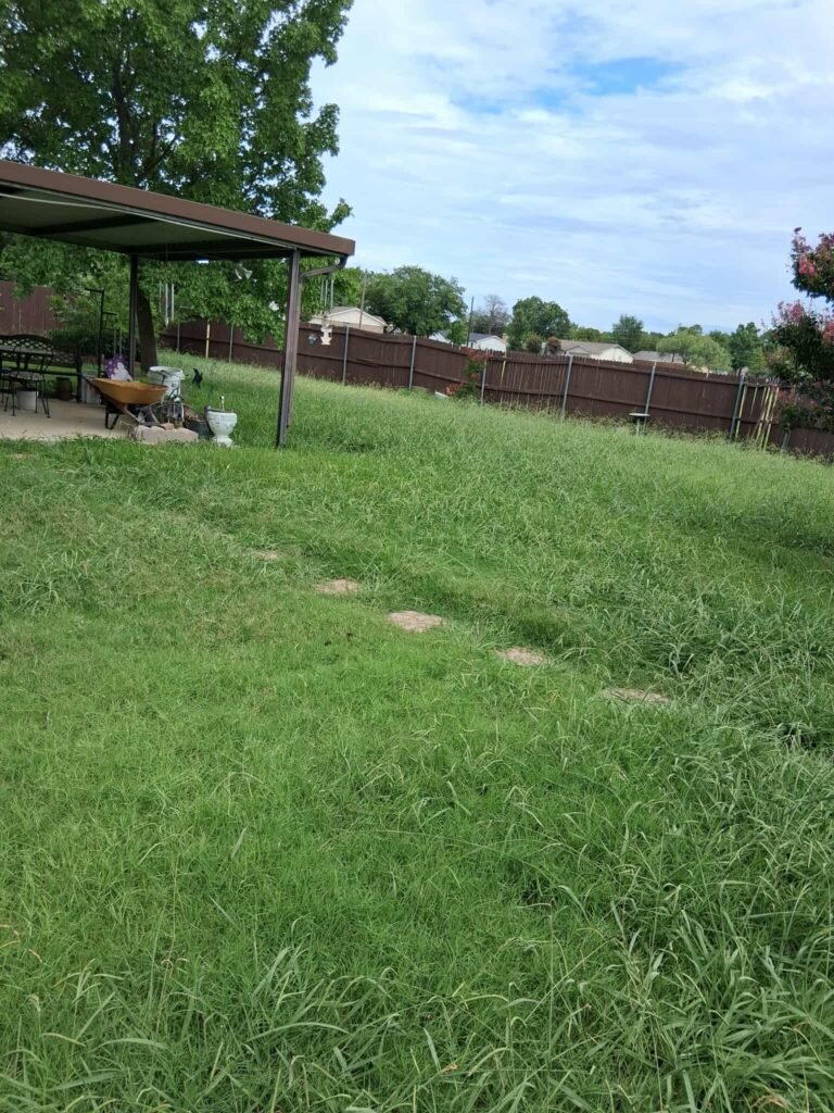 553522252_794744476711592_6077433095624927961_n