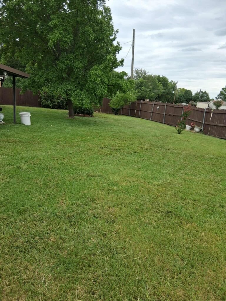 566638288_1323862869225967_154871254955874126_n