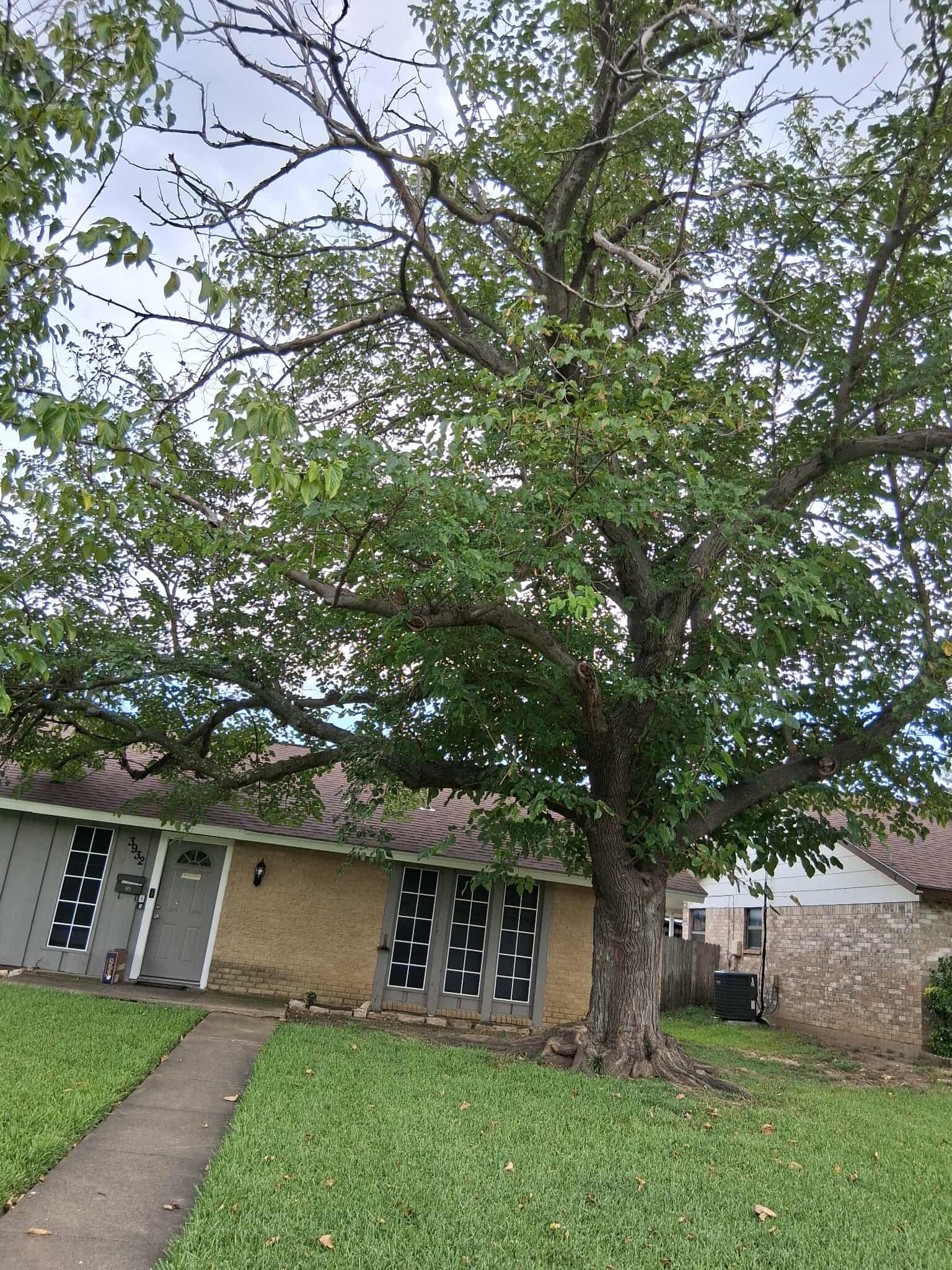 568649306_2256564968086505_2979024256711171031_n